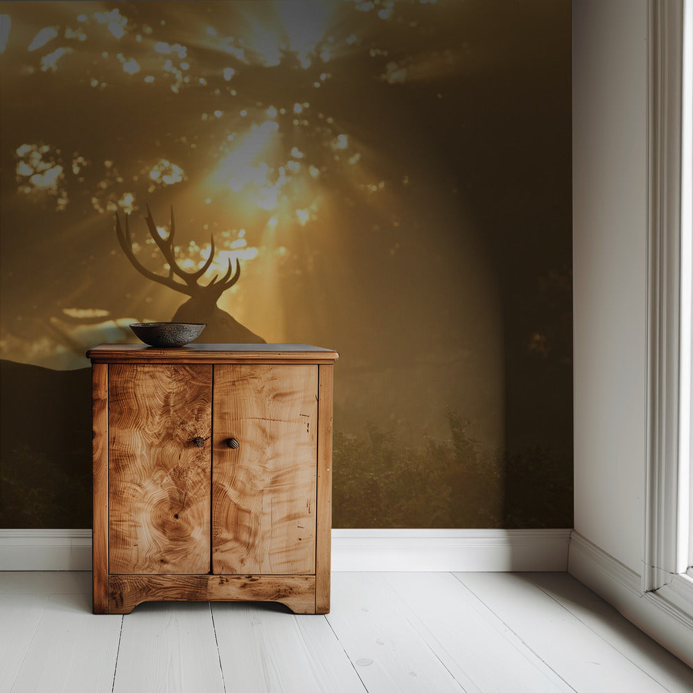 Ghost of the Forest | Wallpaper