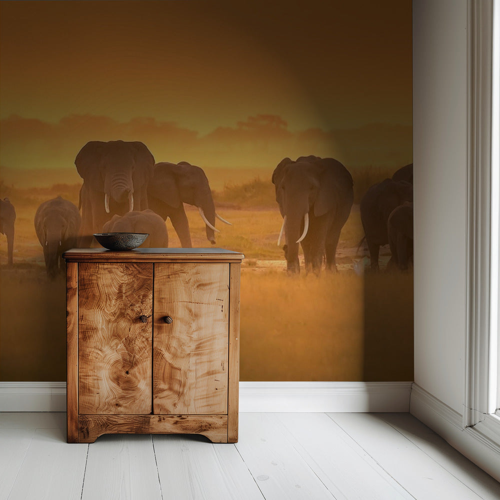 Golden Light | Wallpaper