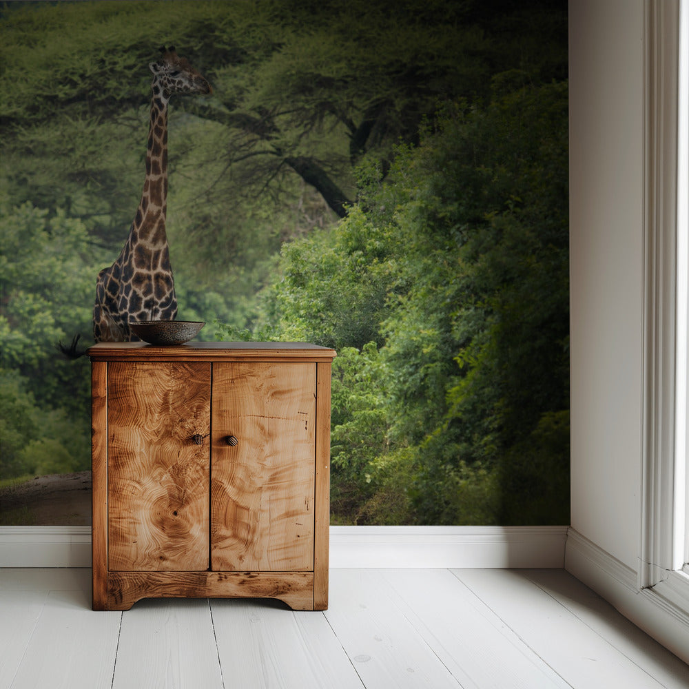 unexpected meeting | Wallpaper