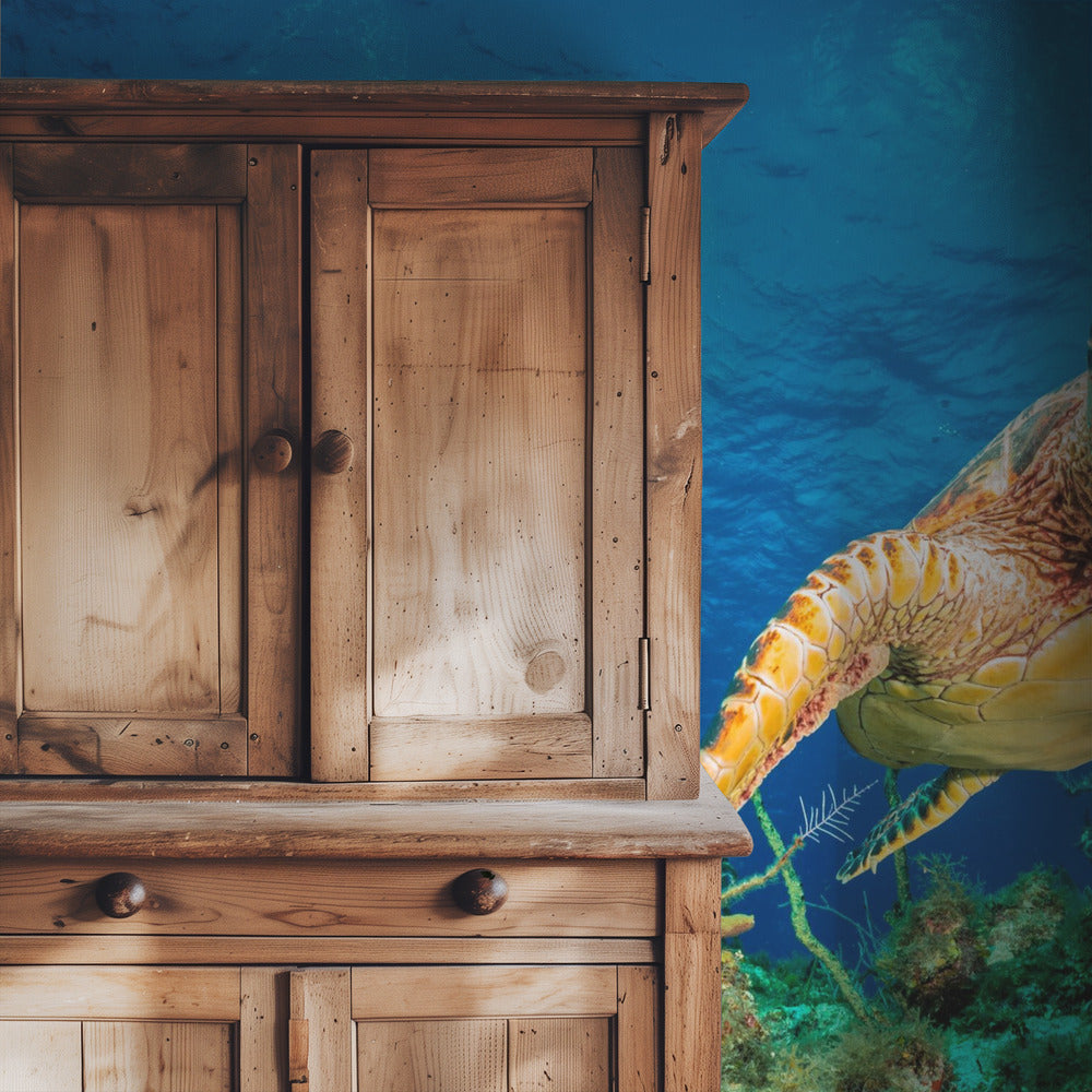 Hawksbill turtle swimming through Caribbean reef | Wallpaper