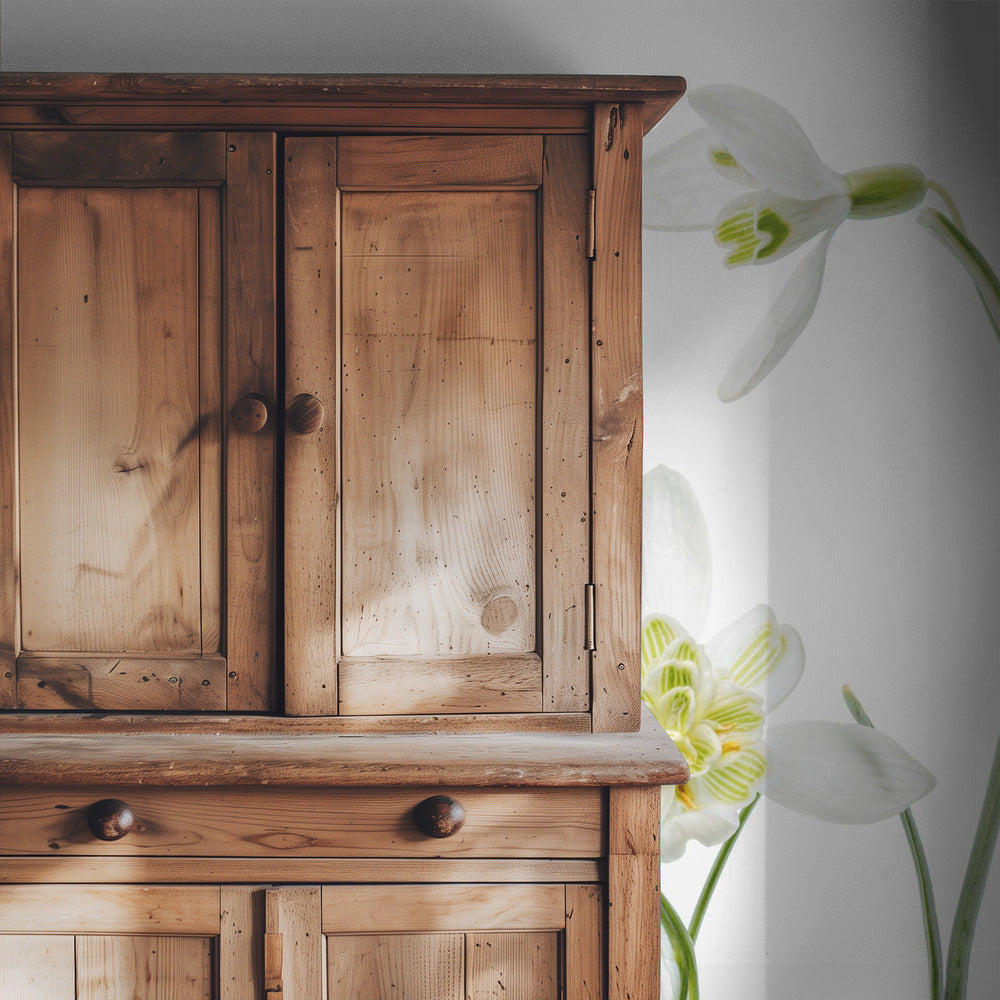 Spring Snowdrops | Wallpaper