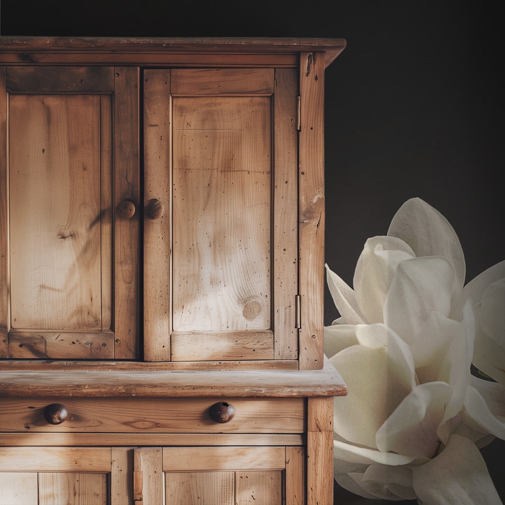 Magnolia | Wallpaper