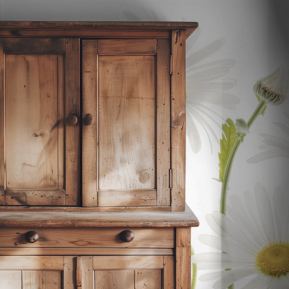 Ox eye Daisies | Wallpaper