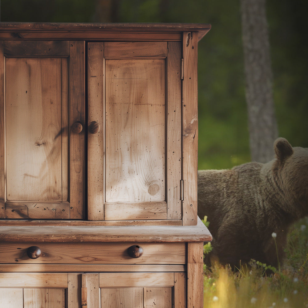 Brown Bear | Wallpaper