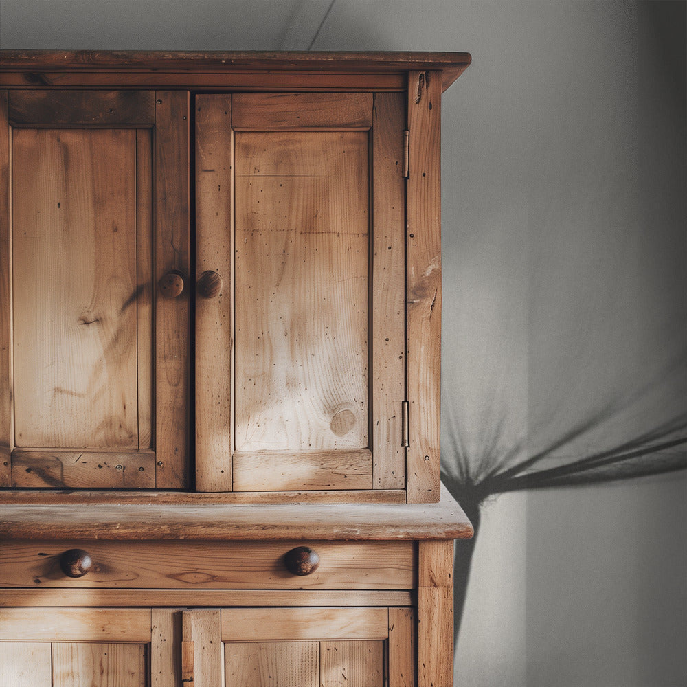 Tragopogon | Wallpaper