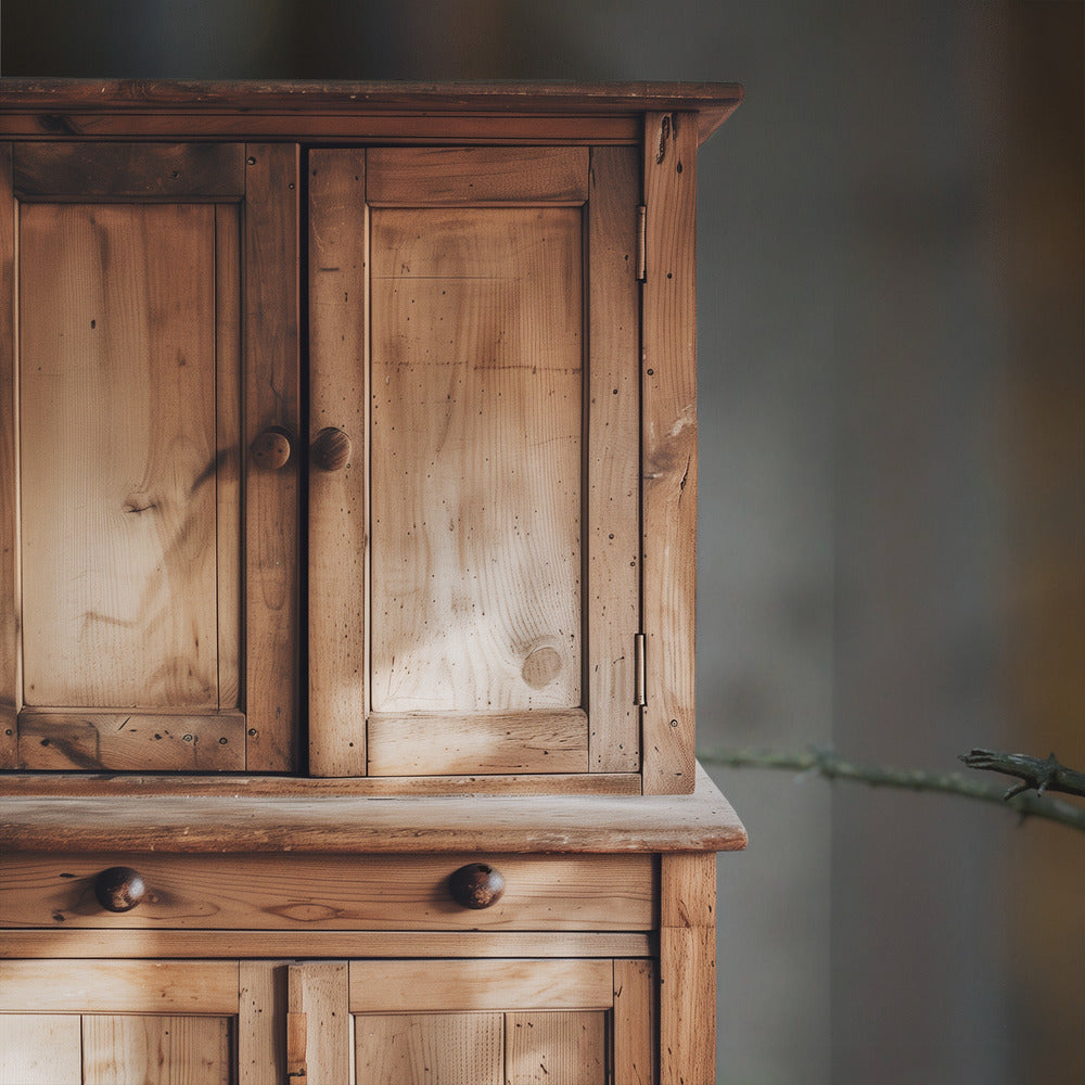 Tawny Owl | Wallpaper