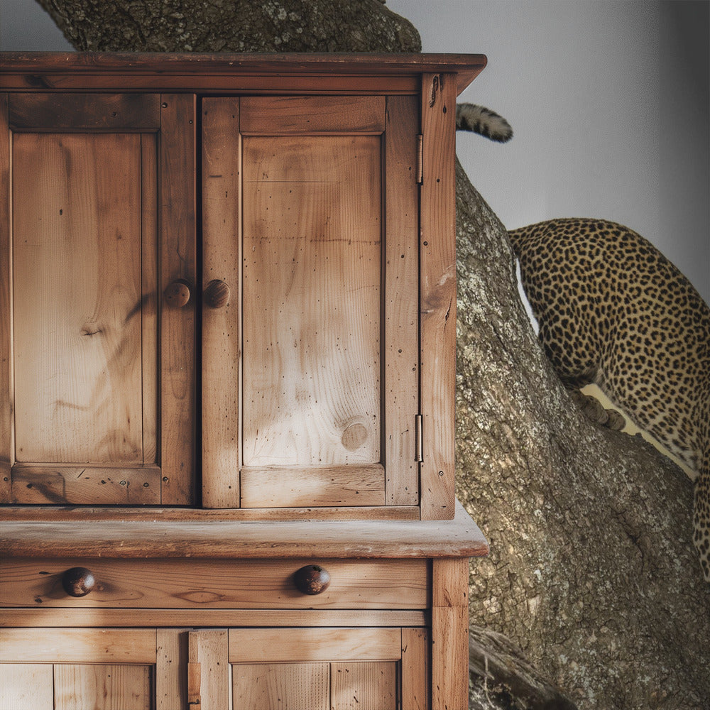 Leopard - Serengheti, Tanzania | Wallpaper