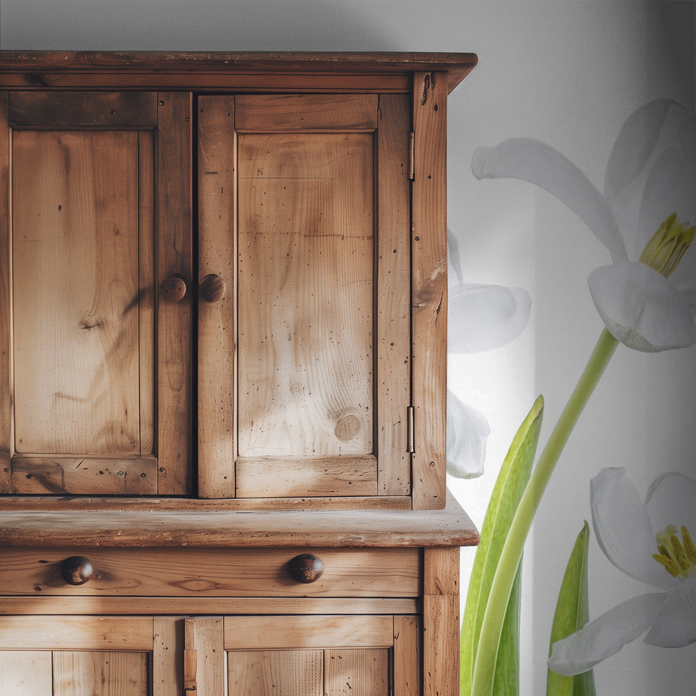 White Tulips | Wallpaper