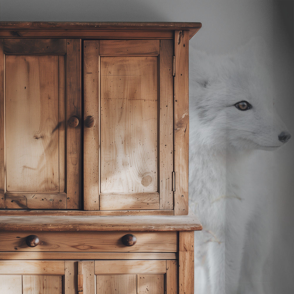 Looking around | Wallpaper