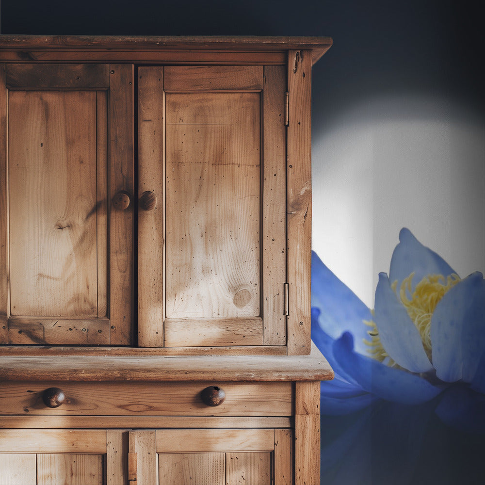 Fleeting dream | Wallpaper