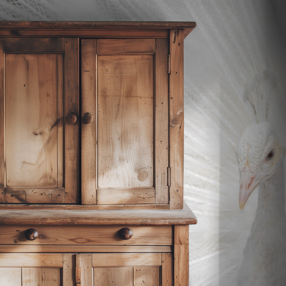 Splendid Whitie | Wallpaper