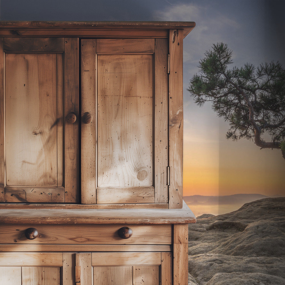 Old pine | Wallpaper