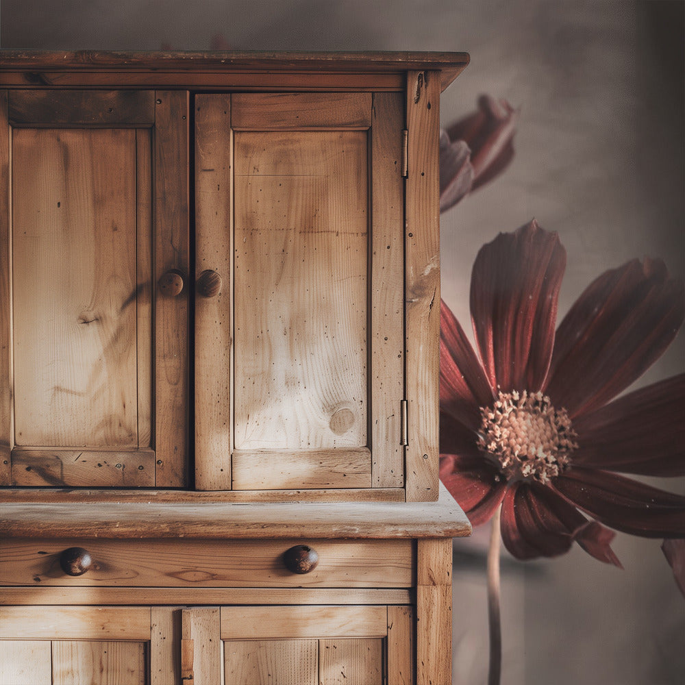 Cosmos 2019 | Wallpaper