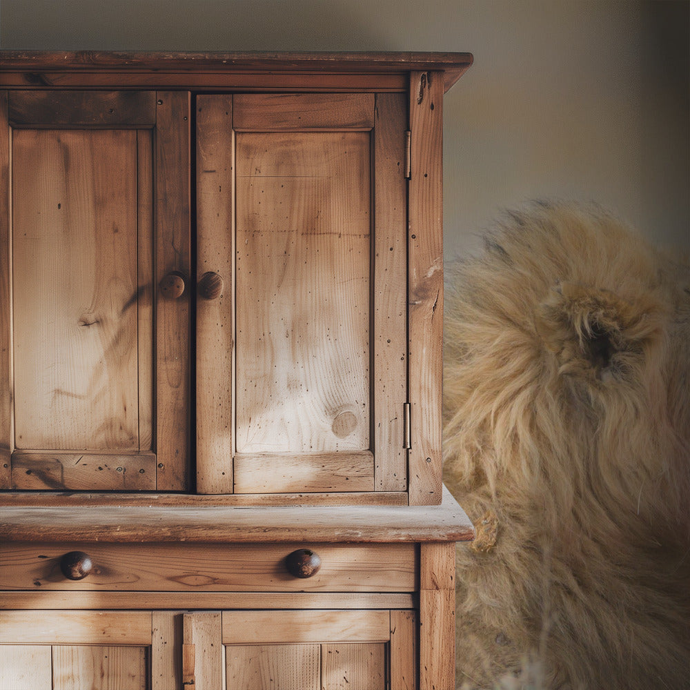 Male lion with cub | Wallpaper