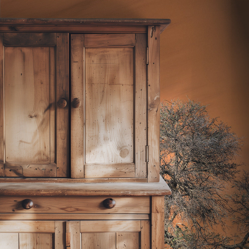 Acacia in the desert | Wallpaper