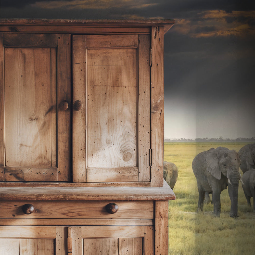 For the love of elephants | Wallpaper