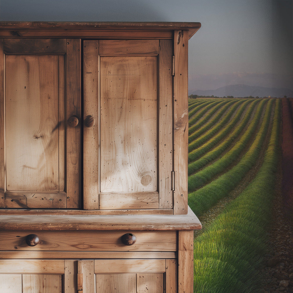 Field of lavender | Wallpaper