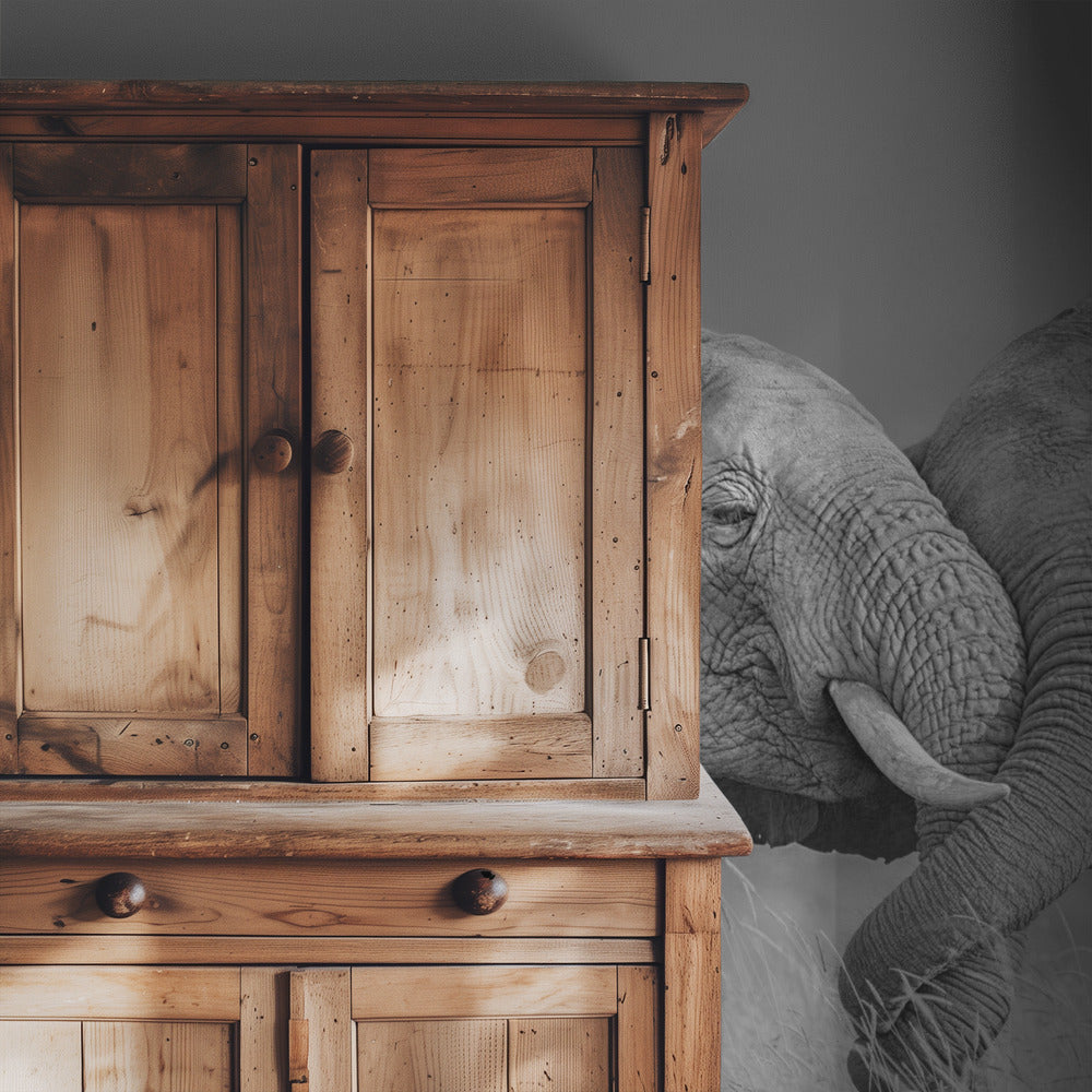 Elephant Flight | Wallpaper