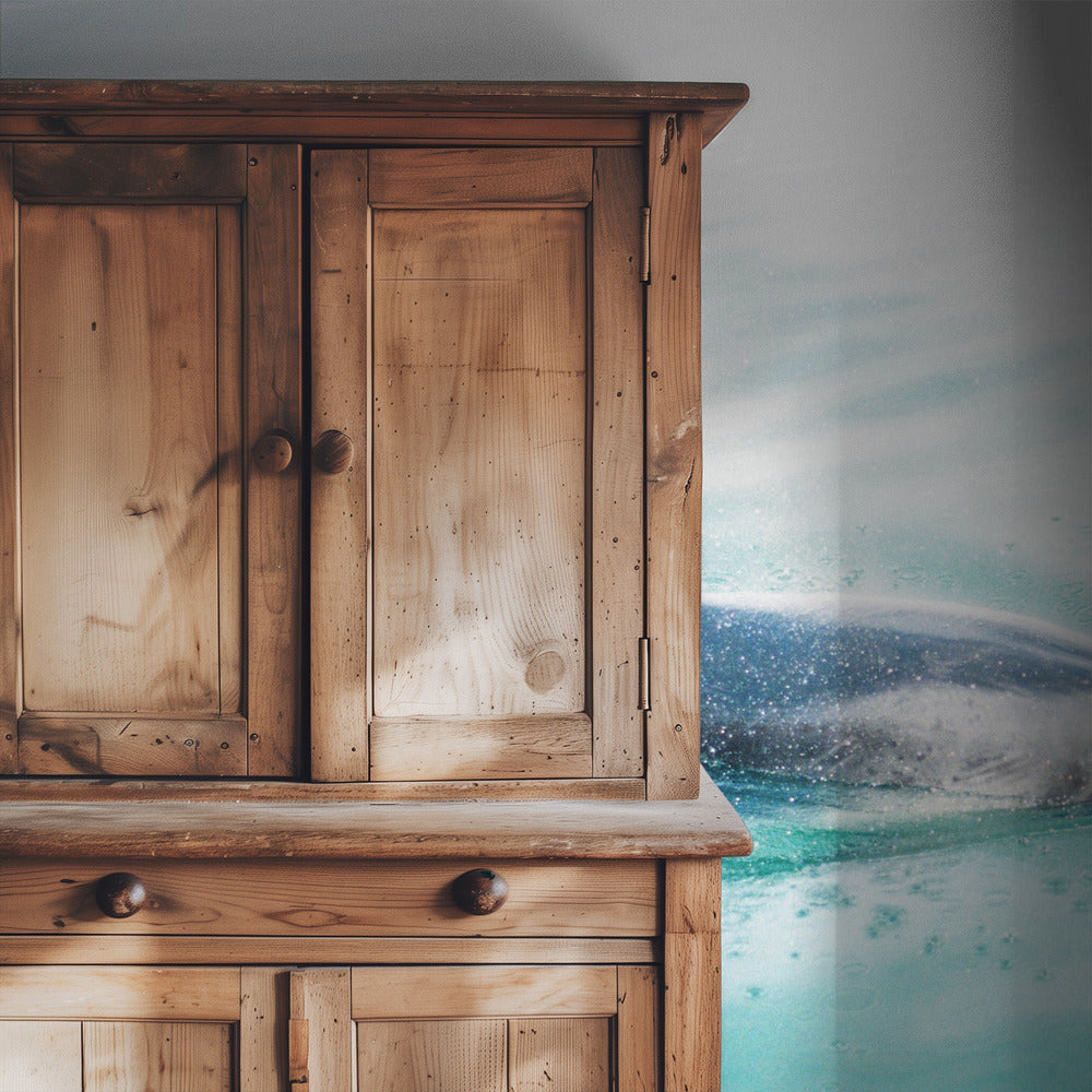 Dolphin N.Z. Northern | Wallpaper