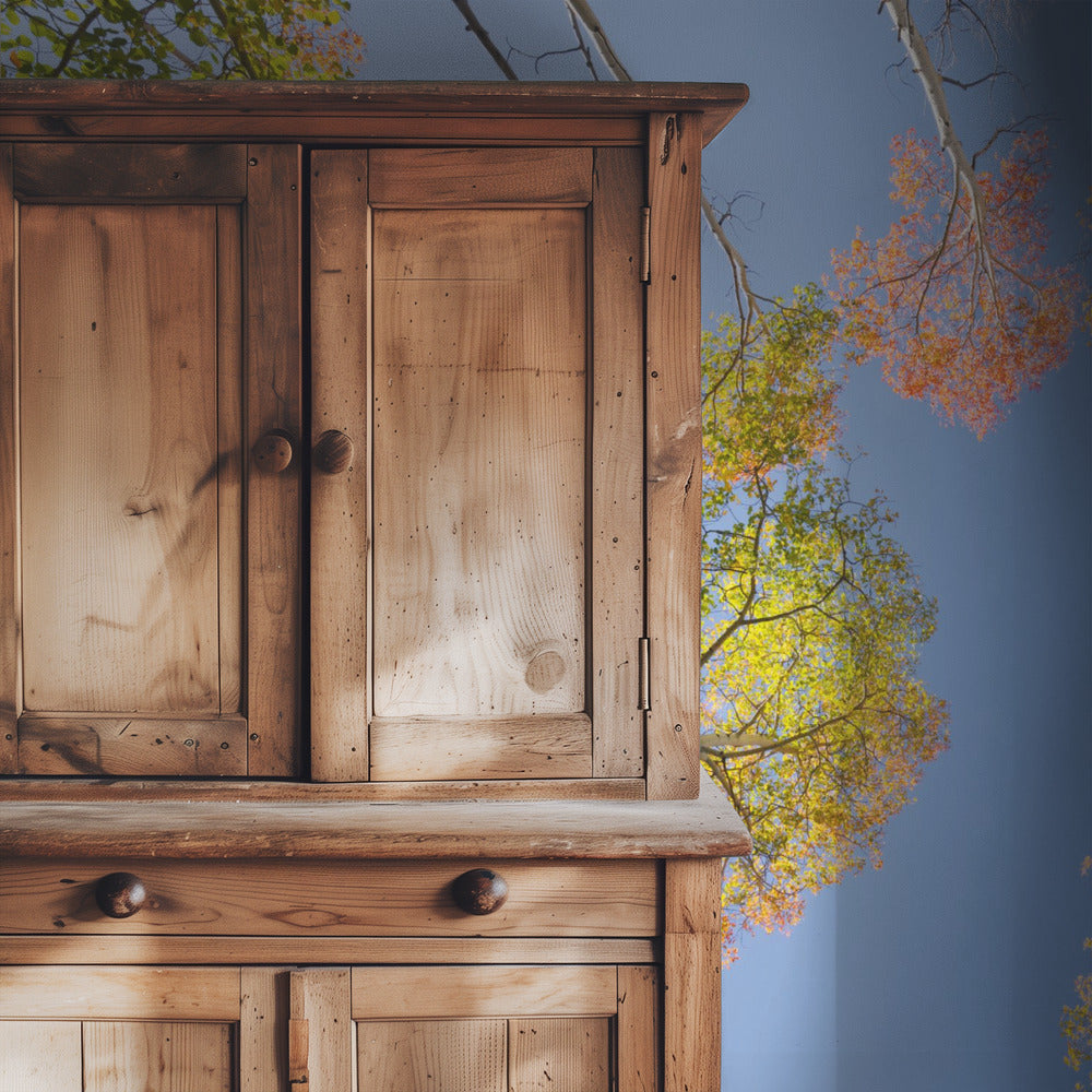 Autumn Birchs | Wallpaper