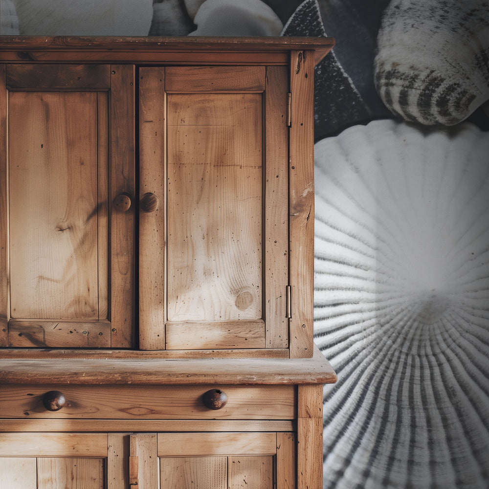 Shell Symphony | Wallpaper