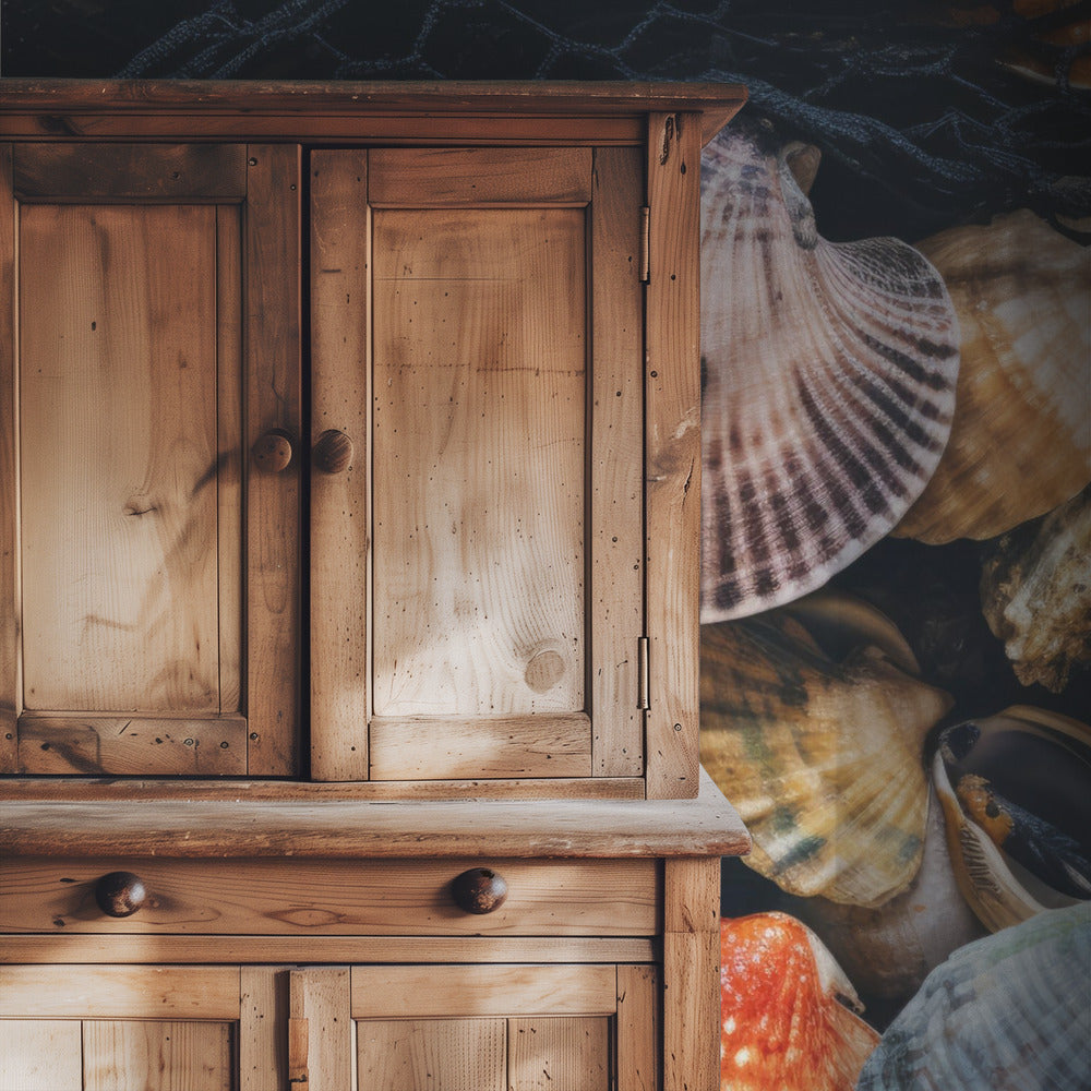 Shell Symphony | Wallpaper