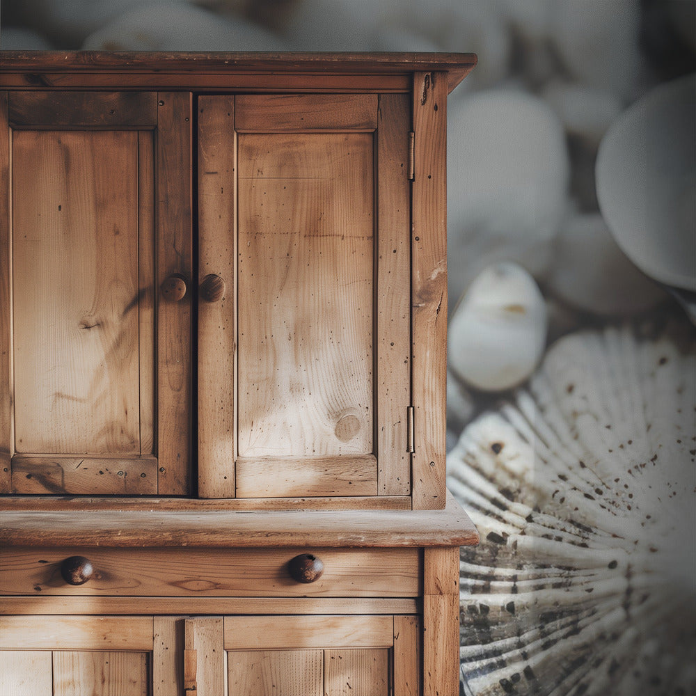 Seashell Symphony | Wallpaper