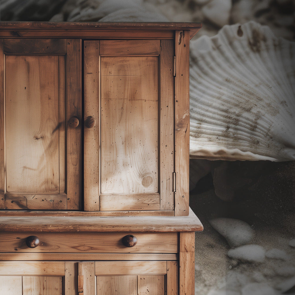 Seashell Serenity | Wallpaper