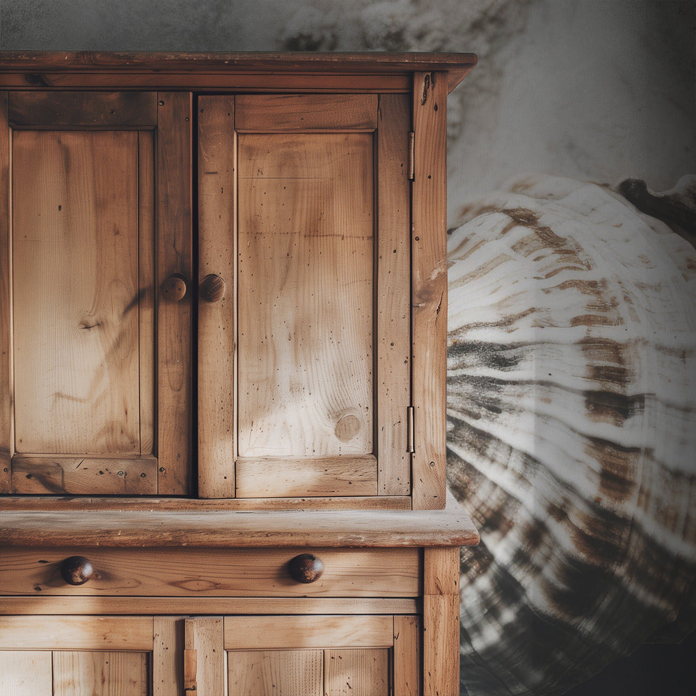 Seashell Serenity | Wallpaper