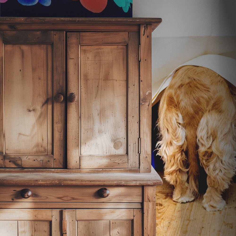 Ladies at the buffet table... | Wallpaper