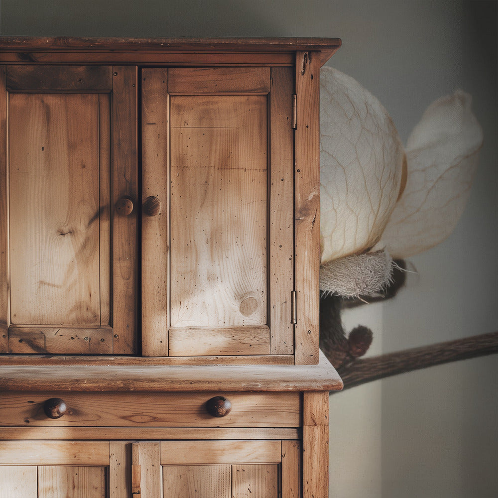 Delicate Petals | Wallpaper