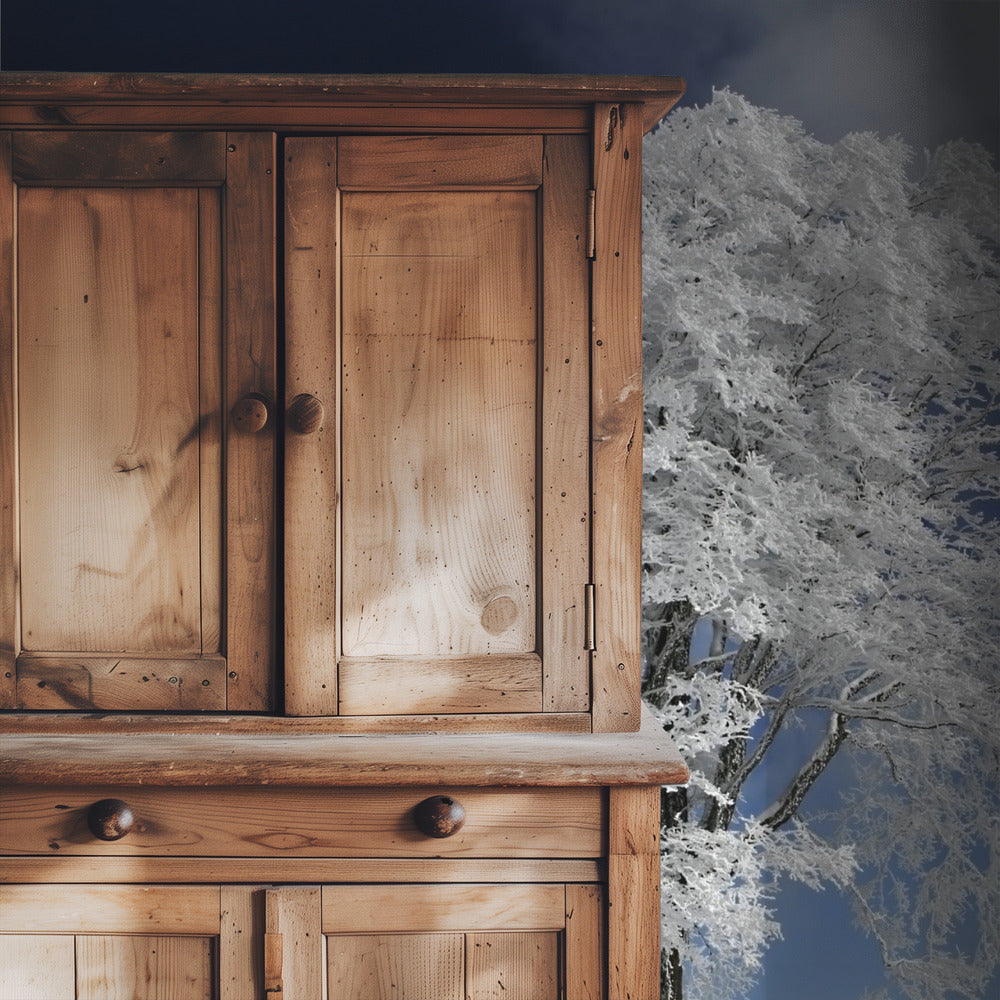 White Windbuche in Black Forest | Wallpaper