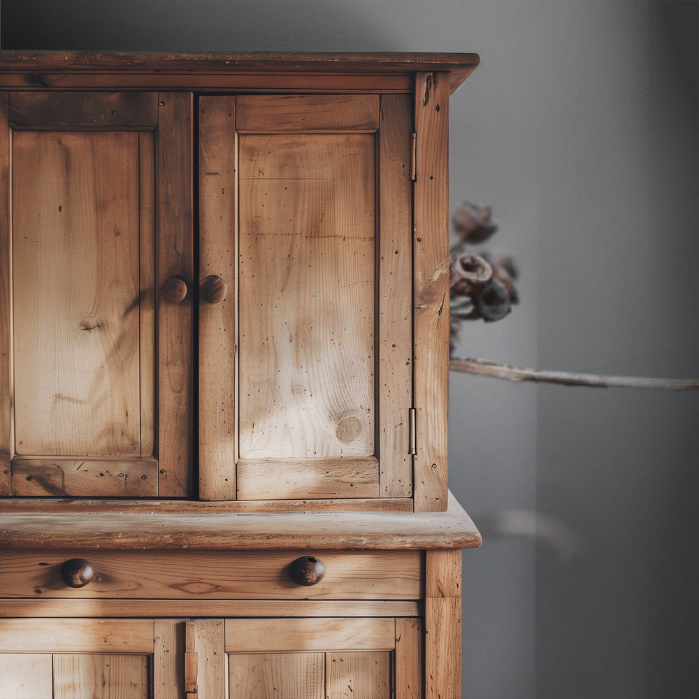 Ladybird on hydrangea. | Wallpaper