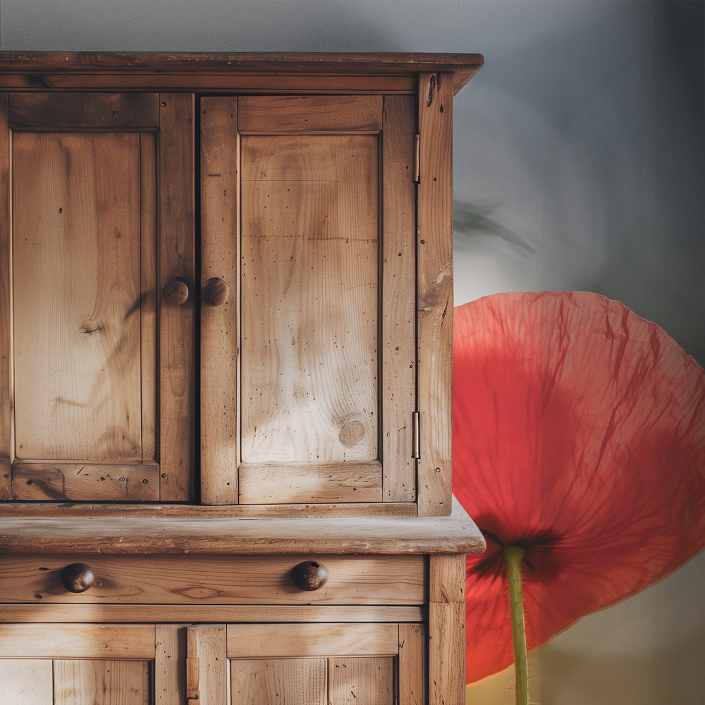 Morning Poppies | Wallpaper