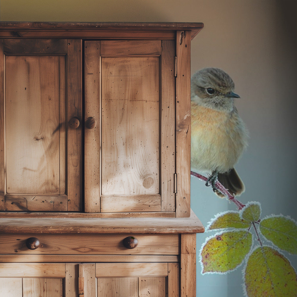 Winter colors | Wallpaper