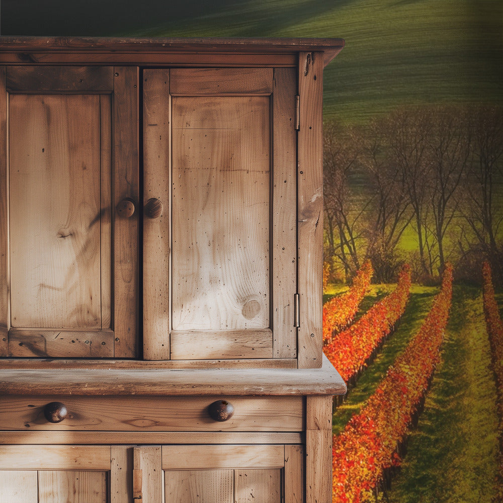 vine-growing | Wallpaper