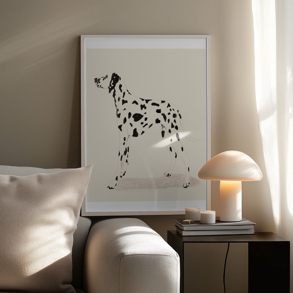 Pandc Dalmation | Poster
