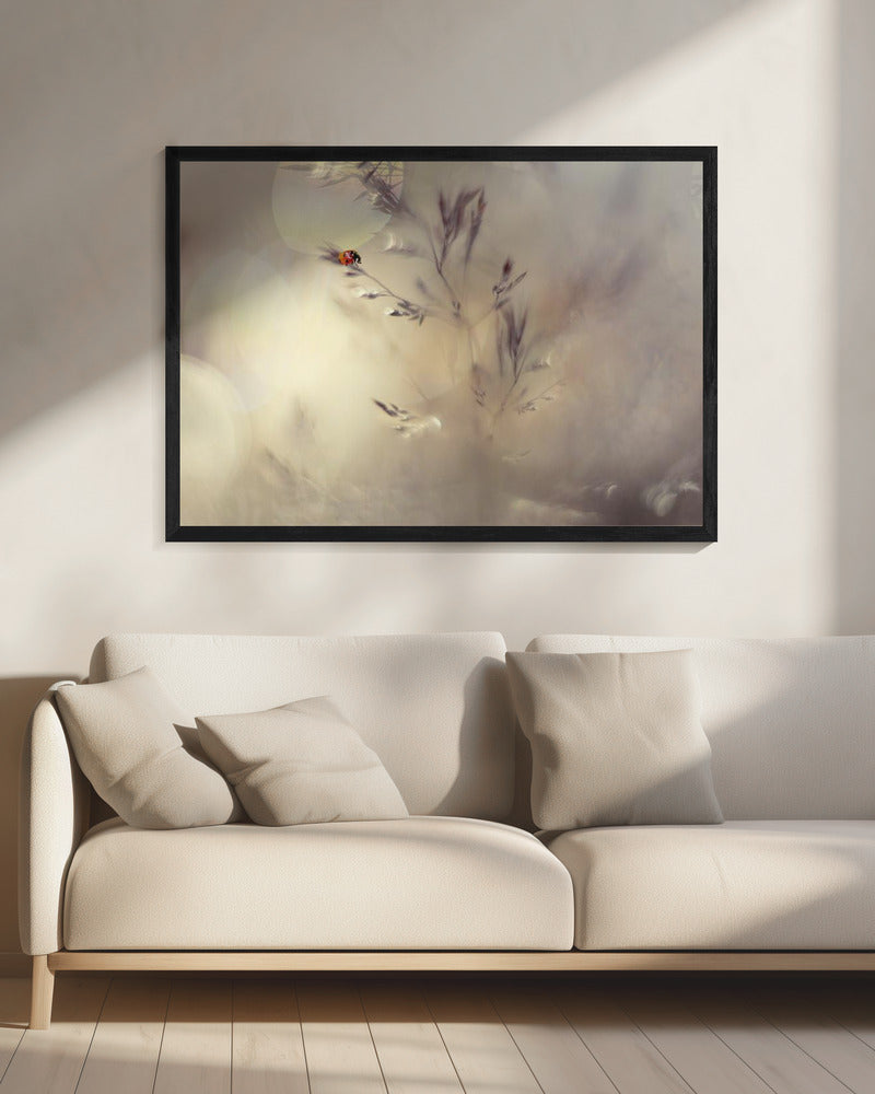 Little lady | Canvas