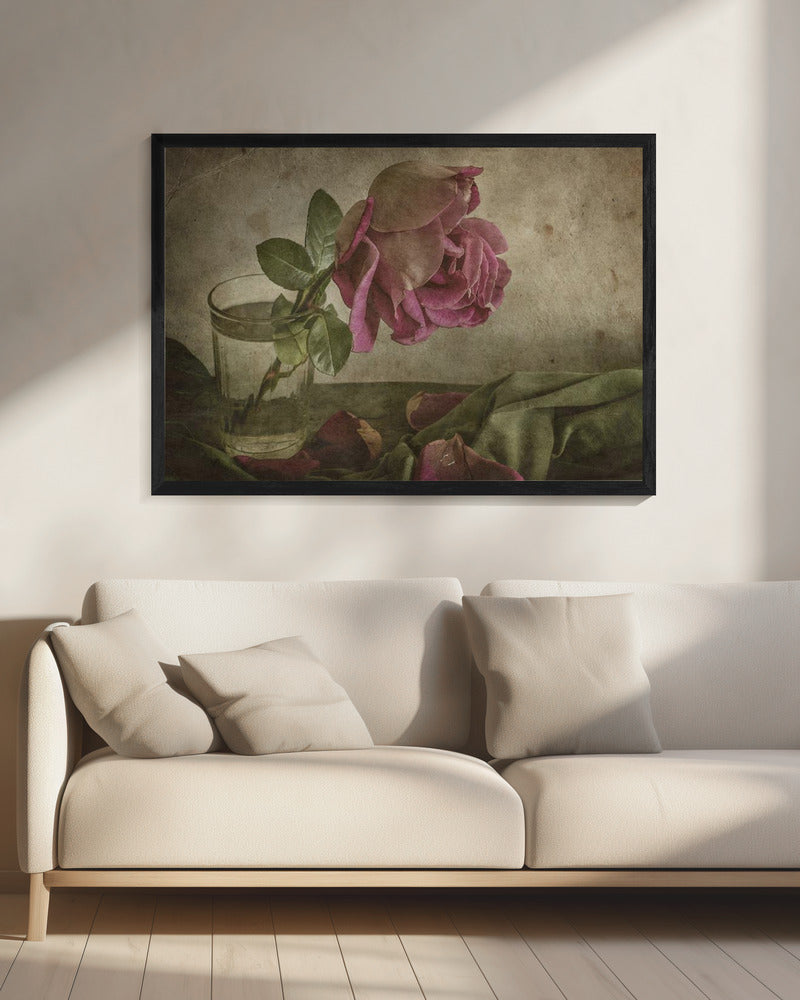 Tear of Rose | Canvas