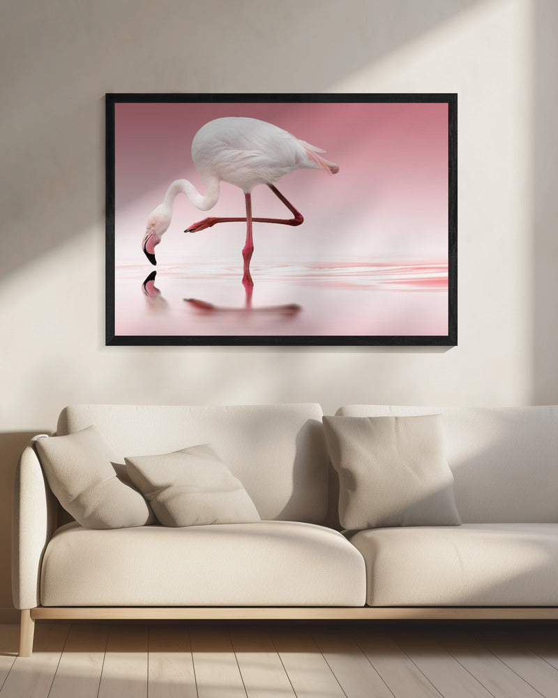 Flamingo | Canvas