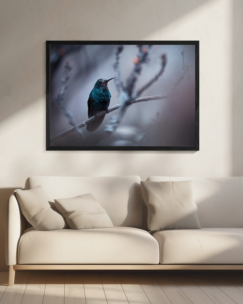 Electrical Blue | Canvas