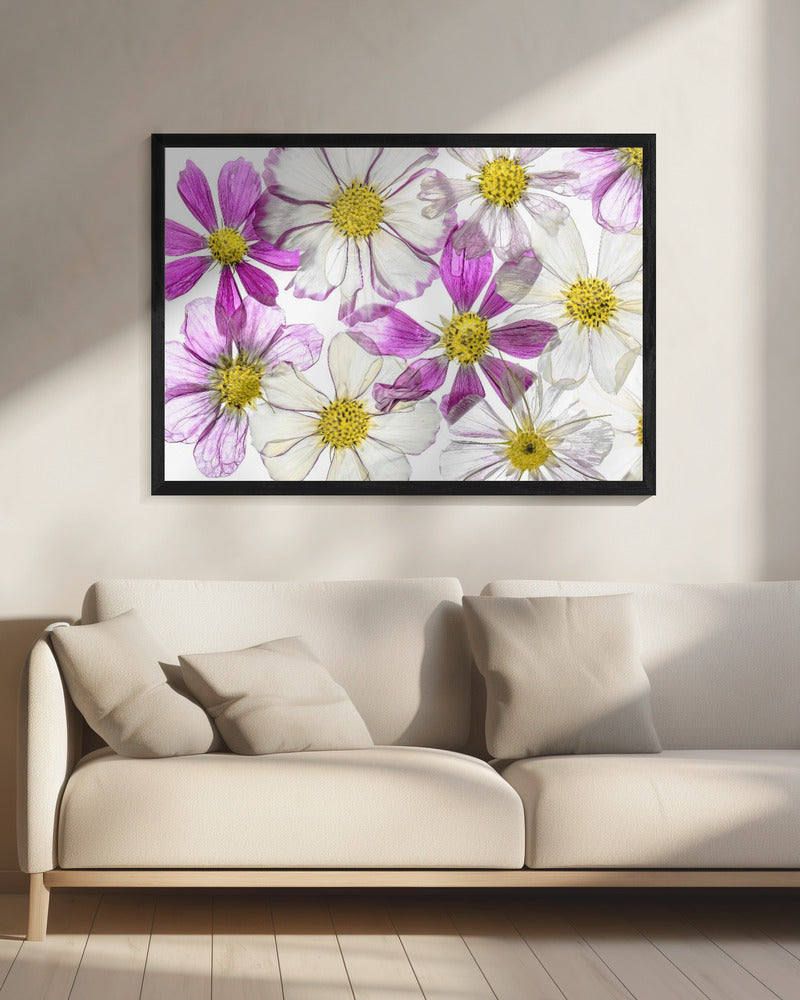 Keeping Summer | Canvas