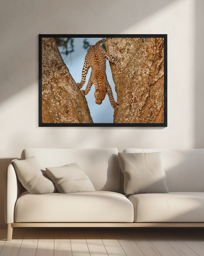 Upside Down | Canvas