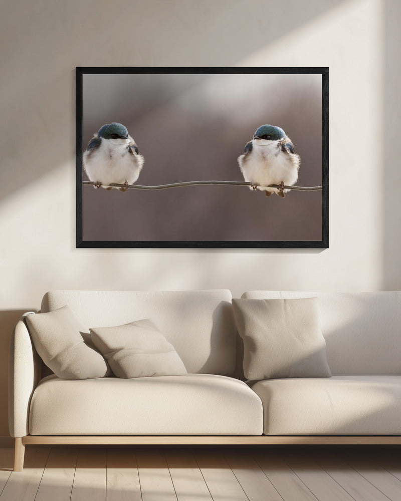 Birds on a wire | Canvas