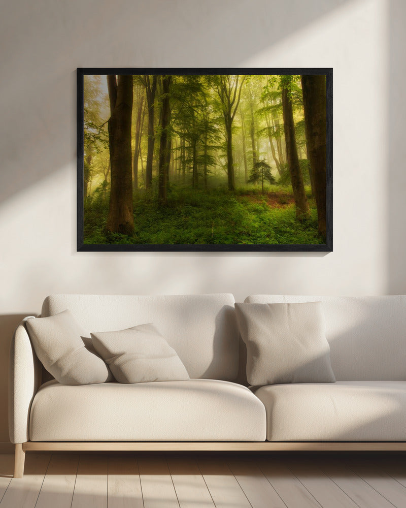 The little tree | Canvas