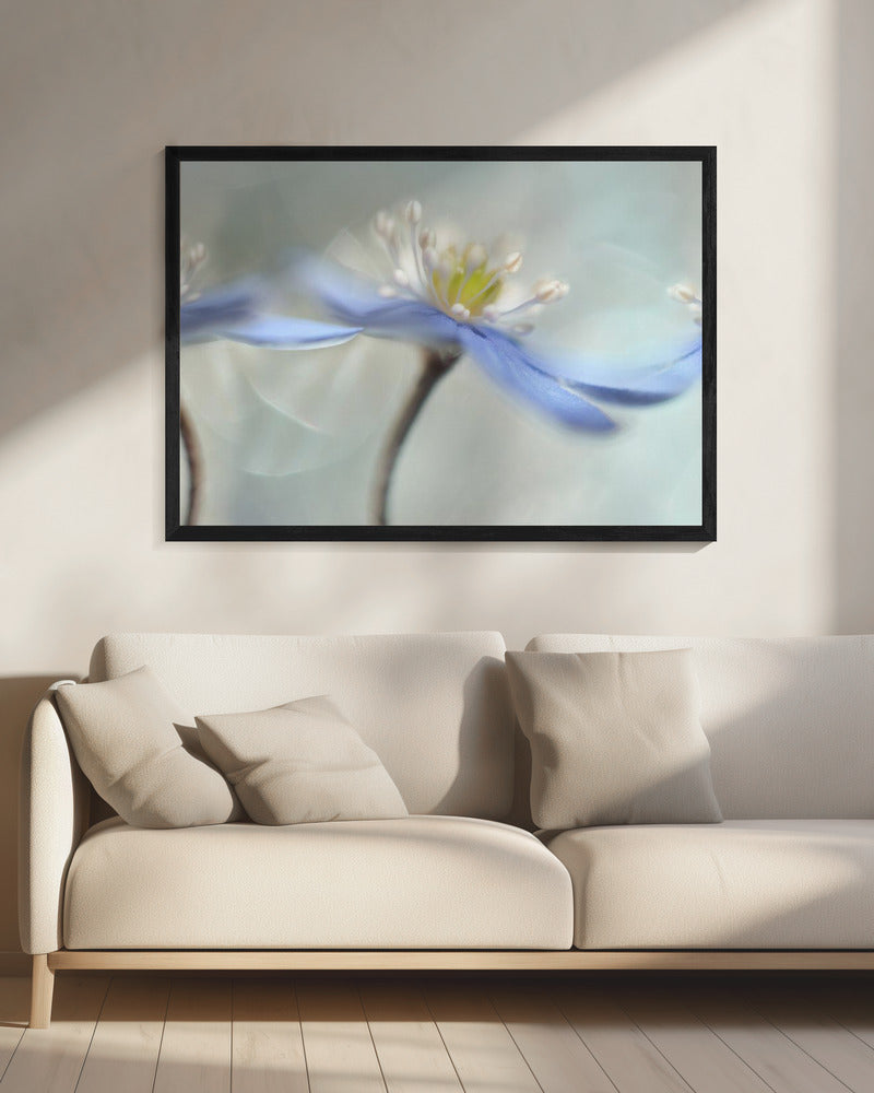 Dancing anemones | Canvas