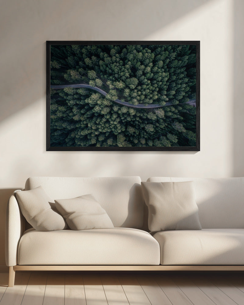 From above | Canvas