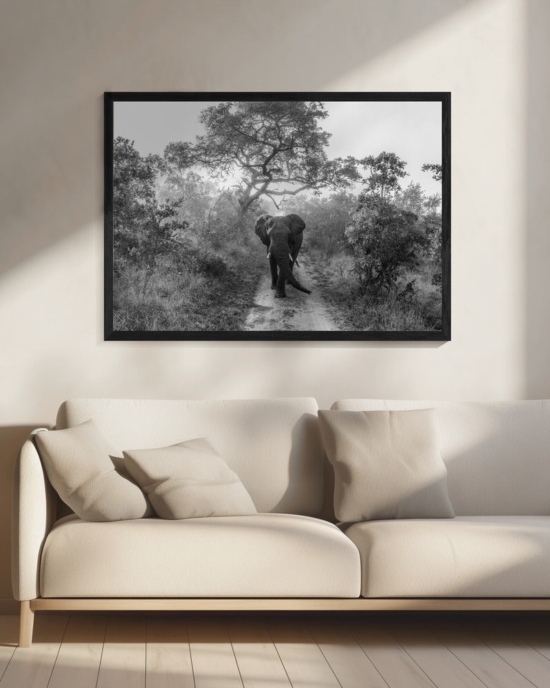 WALKING GIANT | Canvas