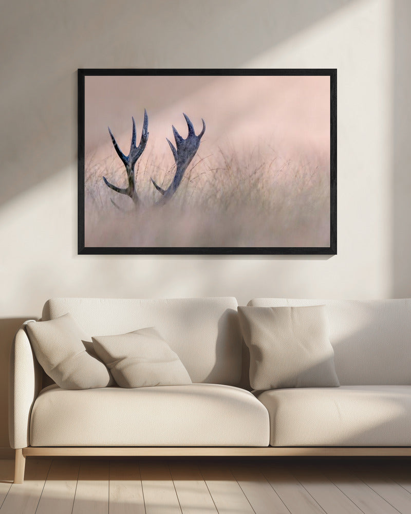 Hide &amp; Seek  ( Horn of Stag) | Canvas
