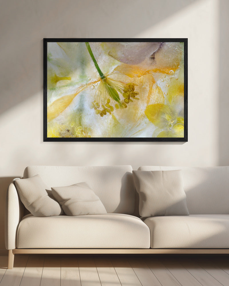 Papaver Ice | Canvas